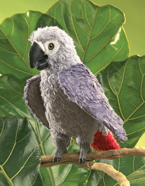 Parrot, African Grey